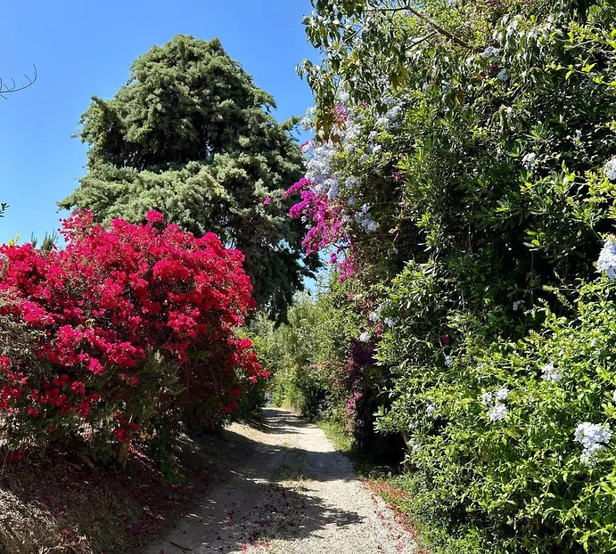 Villa Tiche Cefalu 0*,